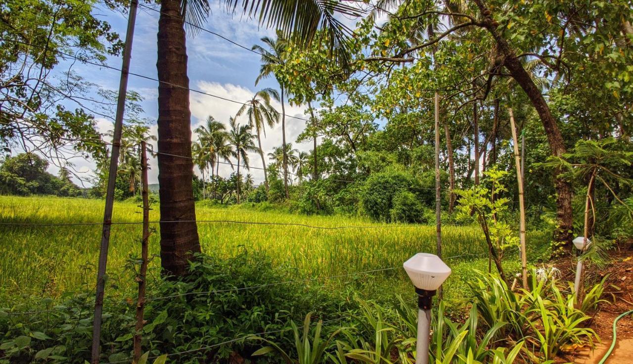 Shunyachi Lotusfeet Hotel Morjim Exterior foto